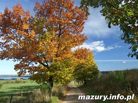 Wie�a Bismarcka