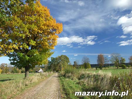 Wie�a Bismarcka
