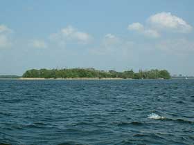 Wyspa Kormoran�w
